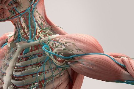 Image hover effect image